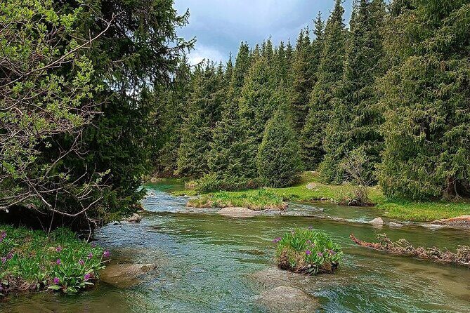 Exploring Kyrgyzstan in 9 days from Bishkek - Who Is This Tour Best For?