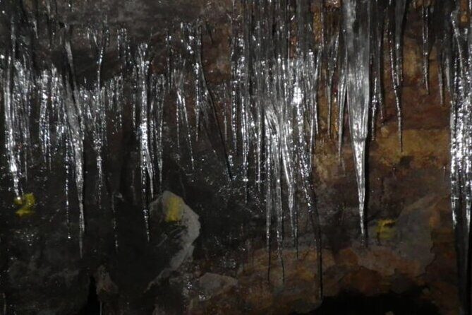 Exploring Mt Fuji Ice Cave and Sea of Trees Forest - A Deep Dive into the Mt. Fuji Ice Cave and Sea of Trees Forest Tour