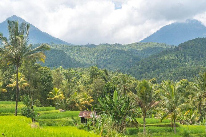 Exploring Munduk Village (Waterfalls, rice terrace, Traditional local house) - Key Points