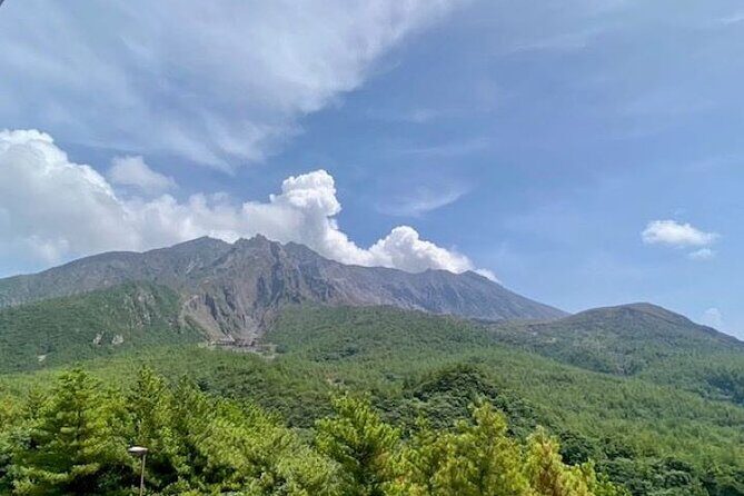 Exploring Sakurajima's History Half Day Walking Tour in Kagoshima - Key Points