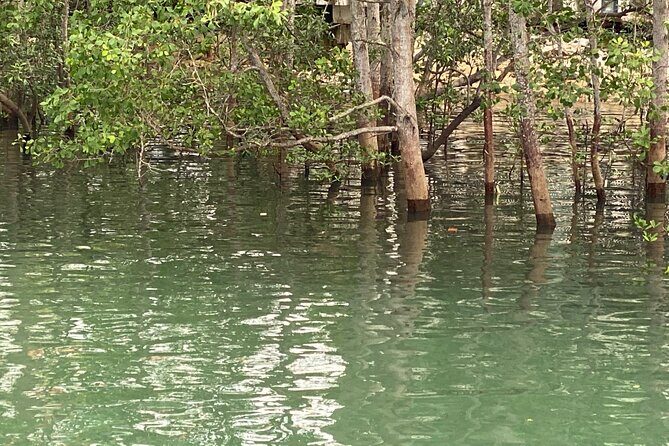 Exploring Singapores Forgotten Hills - Final Thoughts