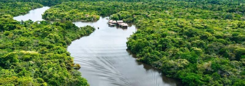 Exploring the Amazon: Adventure Day from Iquitos - Exploring the Amazon: What to Expect