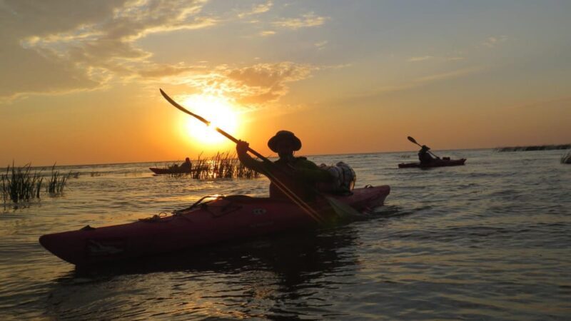 Exploring the Magic of the Danube Delta through photo lenses - What We Think: Benefits and Considerations