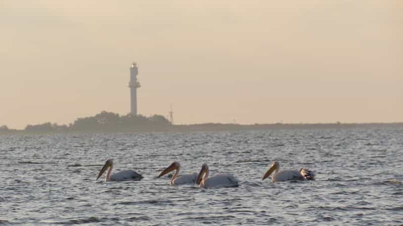 Exploring the Magic of the Danube Delta through photo lenses - FAQs