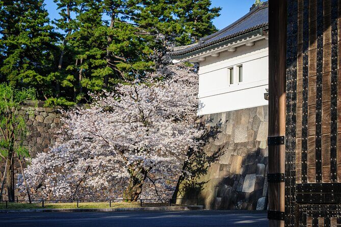 Exploring Toranagas Edo - Exploring Toranagas Edo: A Walk Through Tokyo’s Feudal Past