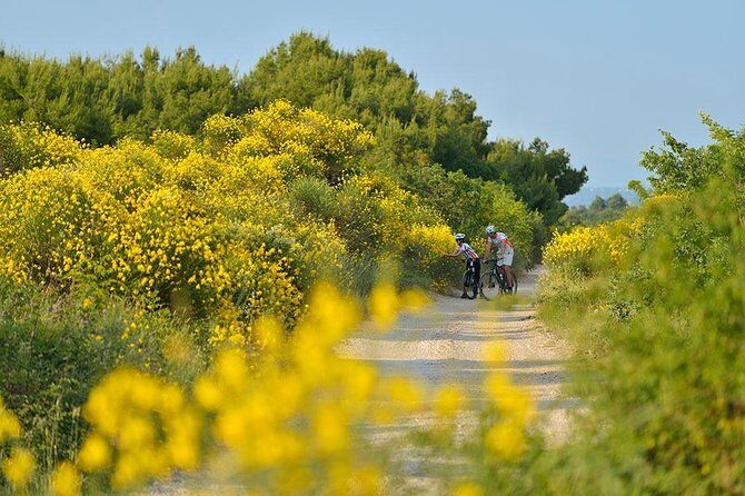 Exploring Vodice on Two Wheels - What’s the Value?