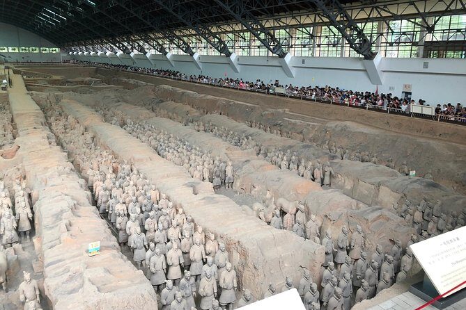 Express Bullet Train Tour to Terracotta Warriors from Beijing for One Day - What Travelers Say: Honest Insights