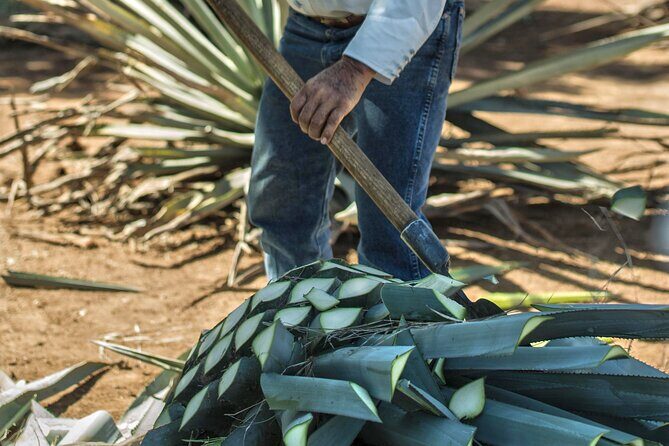 Express Dawn - Visiting the Juan Beckmann Gallardo Cultural Center