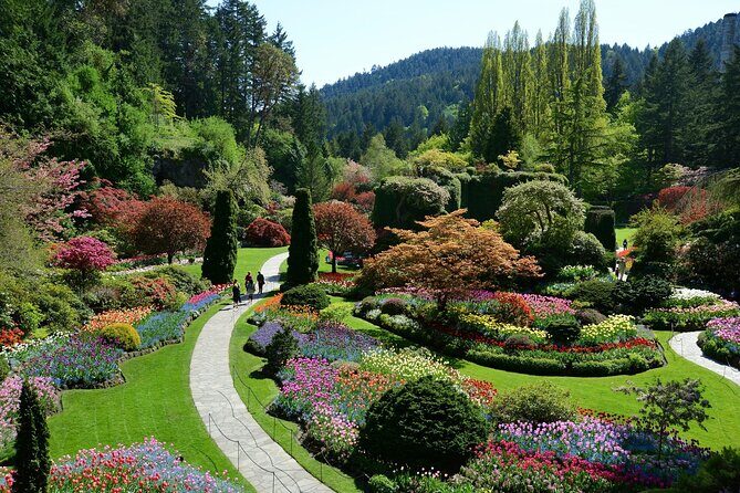 Express Shuttle to The Butchart Gardens and Saturday Fireworks - Discovering Victoria: An In-Depth Review