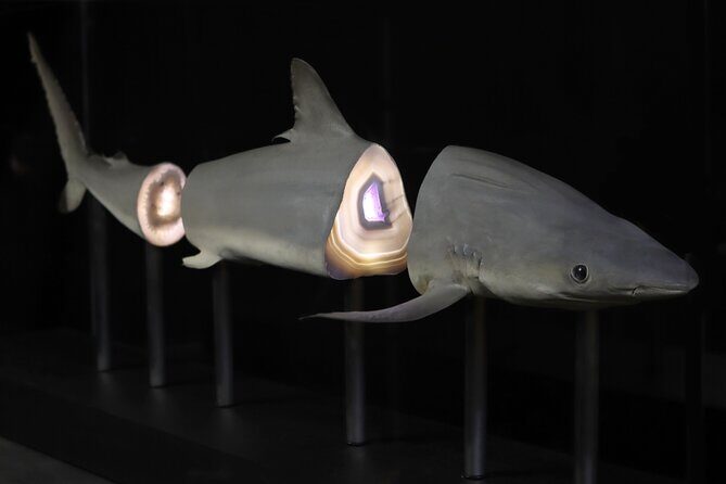 Exquisite Creatures Exhibit By Christopher Marley - In-Depth Review of the Exquisite Creatures Exhibit