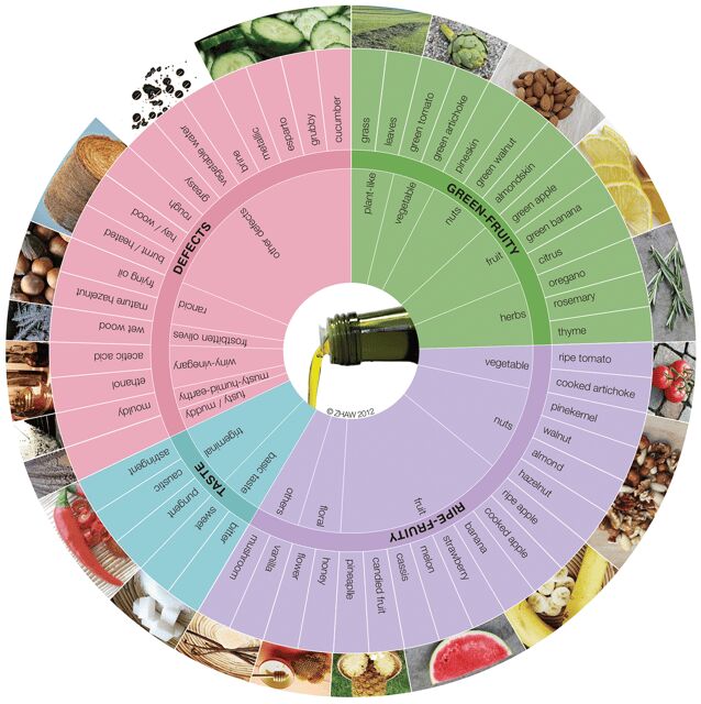 Extra Virgin Olive Oil Experience with Wine & Herbs - A Practical & Tasty Journey into Greek Extra Virgin Olive Oil
