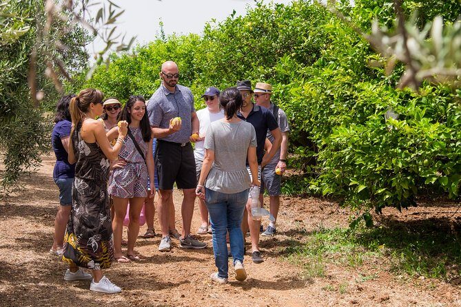 Extra virgin olive oil tasting in Syracuse - fairytale tour - Why This Tour Is Worth Your Time