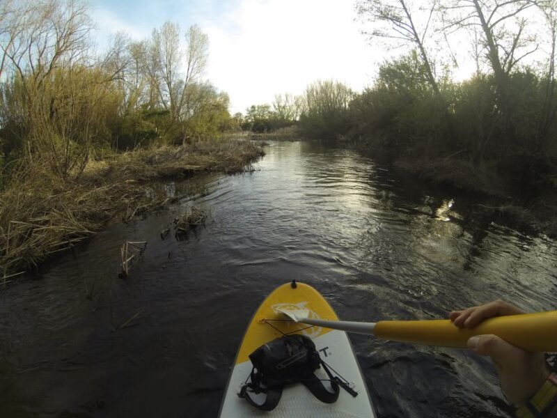 Extremadura: Paddle Surf Guided Tour on Valdecañas Reservoir - An In-Depth Look at the Extremadura Paddle Surf Tour