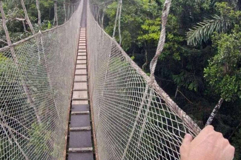 Extreme Adventure I - Iquitos | Hanging Bridge + Canopy - Extreme Adventure I - Iquitos | Hanging Bridge + Canopy