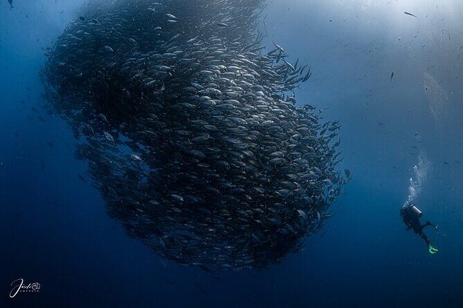 Extreme Baja Off-Road to Cabo Pulmo Diving Pickup Anywhere - Who Would Love This Tour?