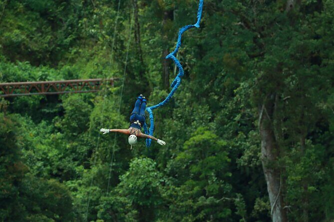 Extreme Bungee Jumping in Monteverde - A Closer Look at the Bungee Experience
