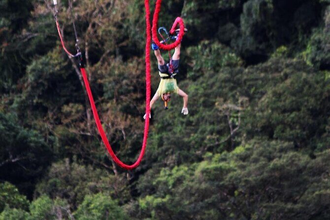 Extreme Bungee Jumping in Monteverde - Who Will Love This Tour?