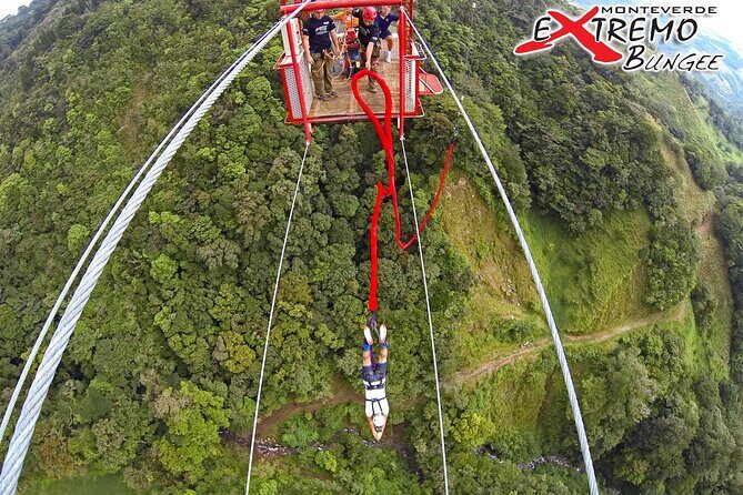 Extreme Bungee Jumping in Monteverde - The Bottom Line: Is It Worth It?