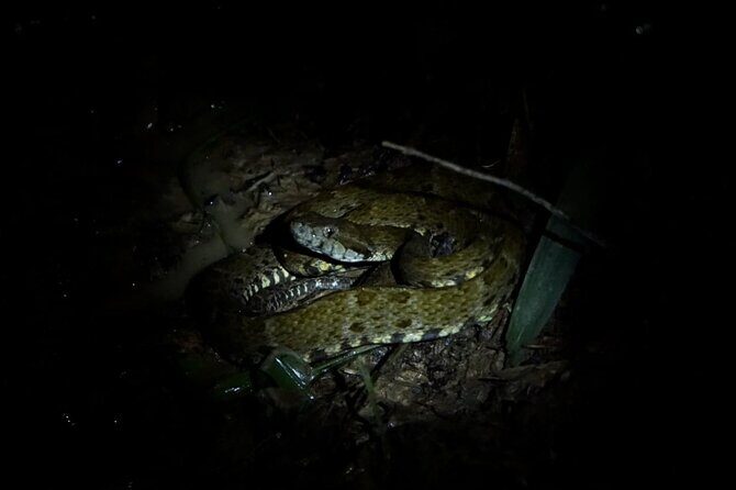 Extreme Calderon - What the Tour Includes and What to Consider