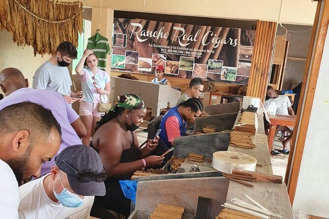 Extreme Fun in Safari Punta Cana Medio Dia - An In-Depth Look at the Safari Punta Cana Medio Día