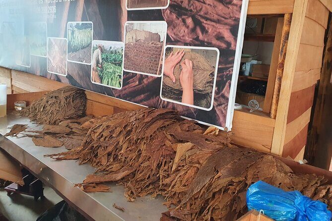 Extreme Fun in Safari Punta Cana Medio Dia - FAQ