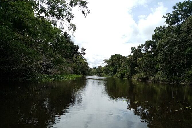 Extreme Survival Training 12 Day Tour "Green Wild Amazon Expedition" - The Sum Up