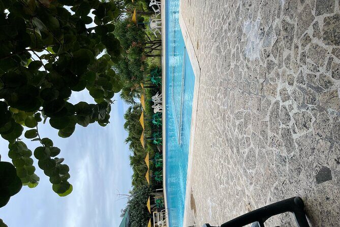 Extreme Tours in Buggies Punta Cana R.D - Final Thoughts on the Punta Cana Buggies Tour