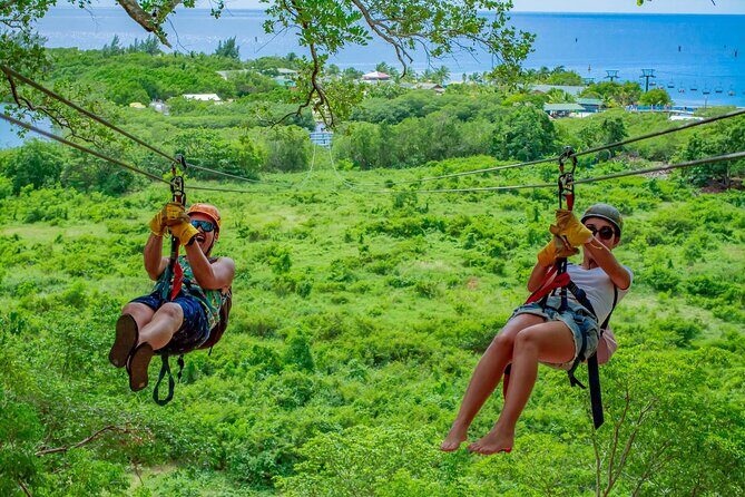 Extreme Zip Line Adventure at Mahogany Bay - Key Points