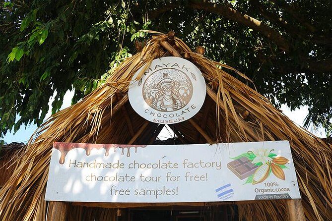 Extreme Zipline, City Tour, Chocolate, Rum Factory, Beach Break, Transfer - Practical Details and Tips