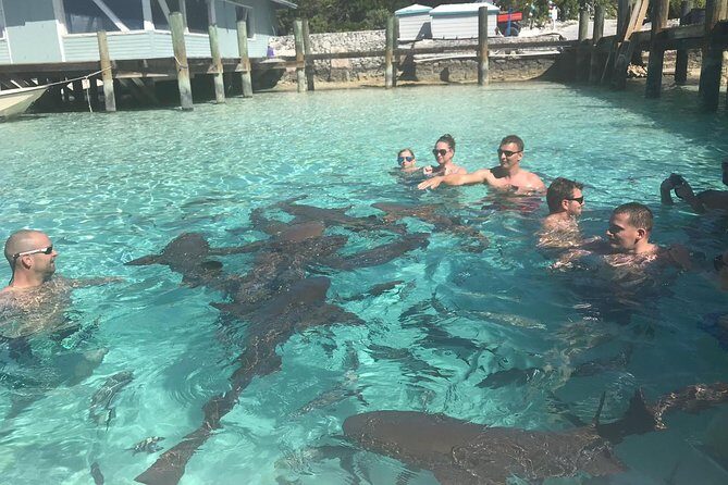 Exuma Day Away - Original Swimming Pigs Excursion - Final Thoughts: Is This Tour Worth It?