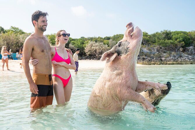 Exuma Elite Escape: Luxury Fly-In Pig Beach Adventure - 7 Stops - Exploring Pig Beach