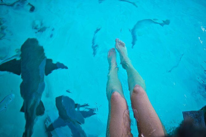 Exuma Elite Escape: Luxury Fly-In Pig Beach Adventure - 7 Stops - Snorkeling at Thunderball Grotto