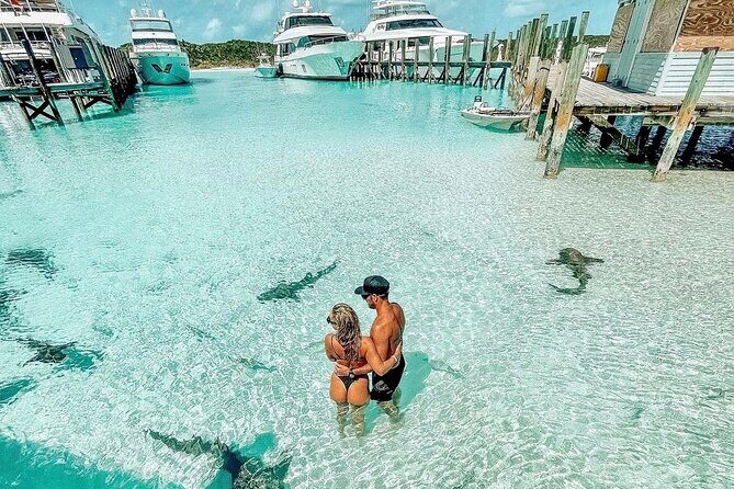 Exuma Full Day Swimming Pigs Group Boat Tour - What Are the Downsides?