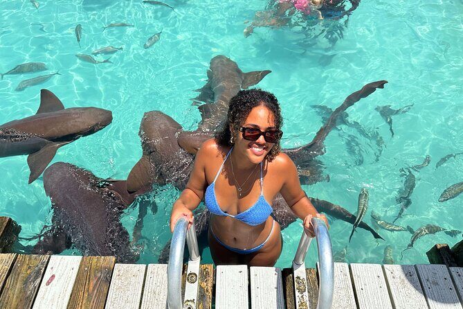 Exuma Powerboat Tour from Nassau with Swimming Pigs - An In-Depth Look at the Exuma Powerboat Tour from Nassau