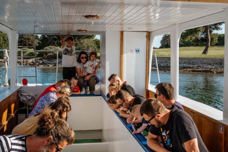 FAANA: DOLPHIN SAFARI - Final Thoughts: Is Faana’s Dolphin Safari Worth It?