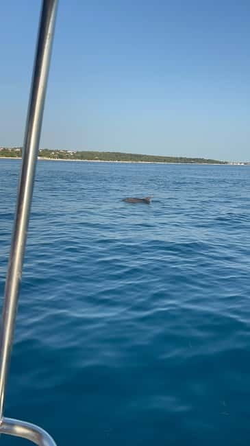Faana: Dolphin & Sunset - Authenticity and Guest Experiences
