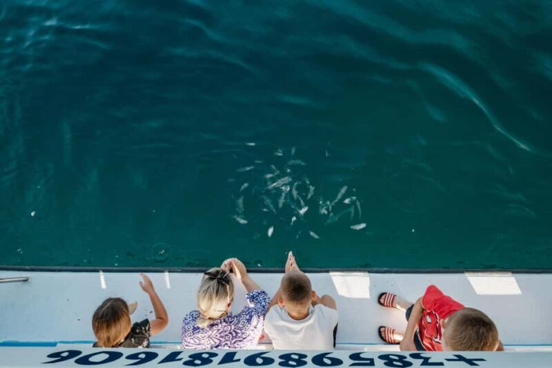 Faana: Glass Boat Tour of Brijuni National Park - Overview of the Experience