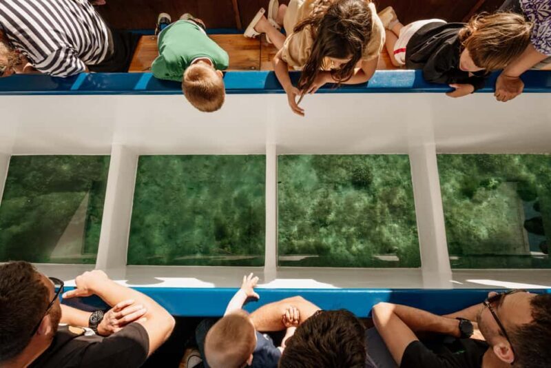 Faana: Glass Boat Tour of Brijuni National Park - Value and Practicalities