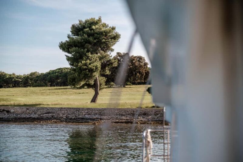 Faana: Glass Boat Tour of Brijuni National Park - Who Will Love This Tour?