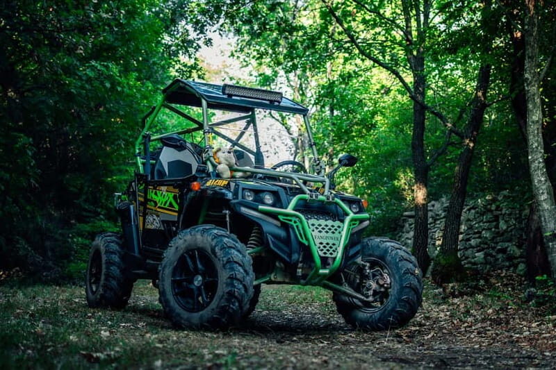 Faana: Guided Buggy Tour in the Heart of Istria - Key Points