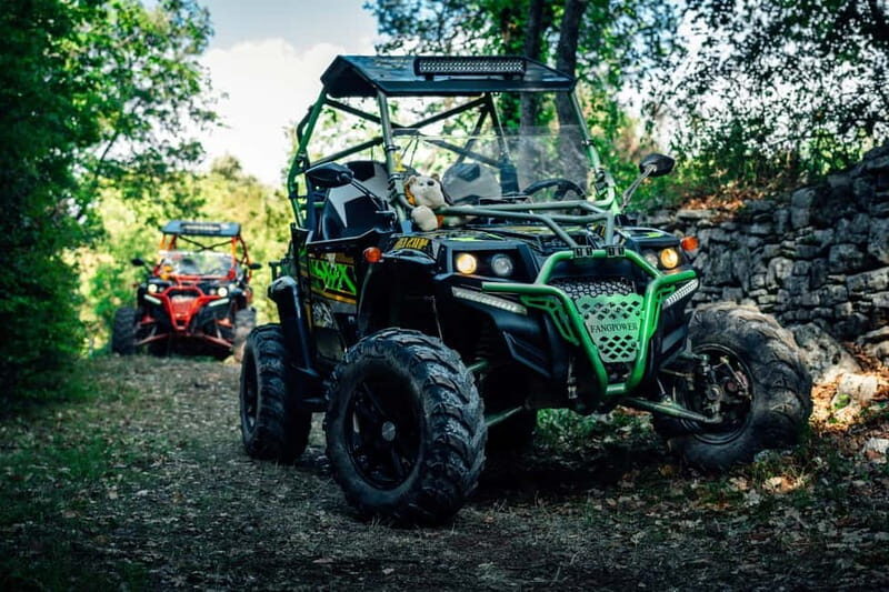 Faana: Guided Buggy Tour in the Heart of Istria - Exploring the Experience: What You Can Expect