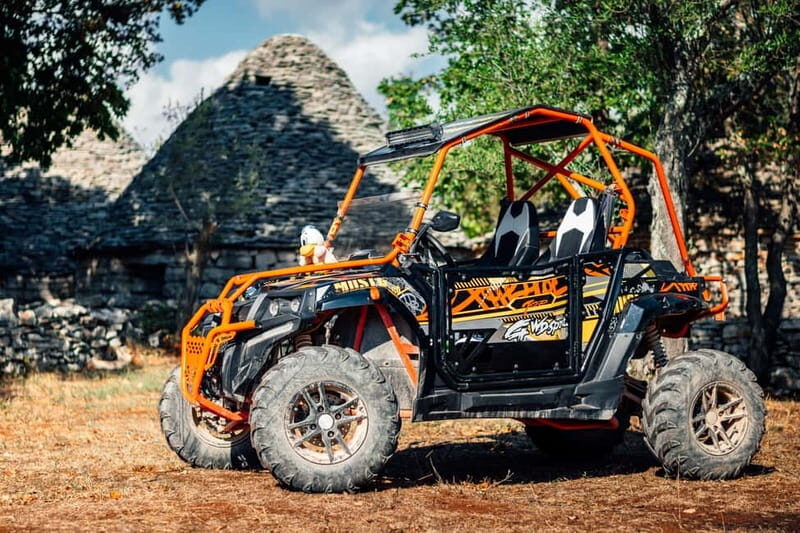 Faana: Guided Buggy Tour in the Heart of Istria - Authentic Reviews: What Travelers Are Saying