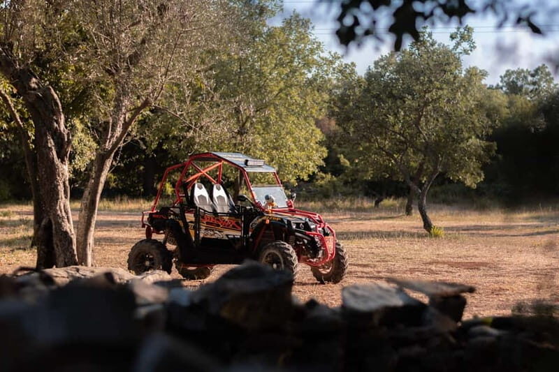 Faana: Guided Buggy Tour in the Heart of Istria - Who Is This Tour Best For?