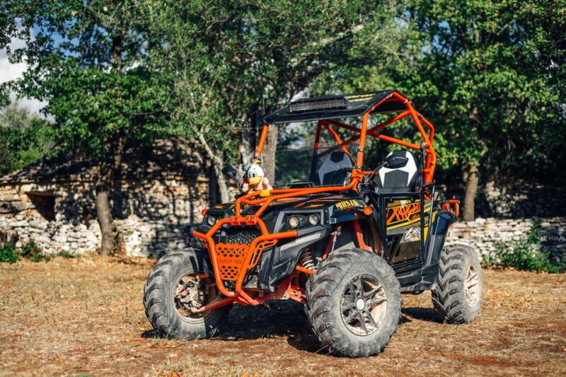 Faana: Guided Buggy Tour in the Heart of Istria - The Sum Up