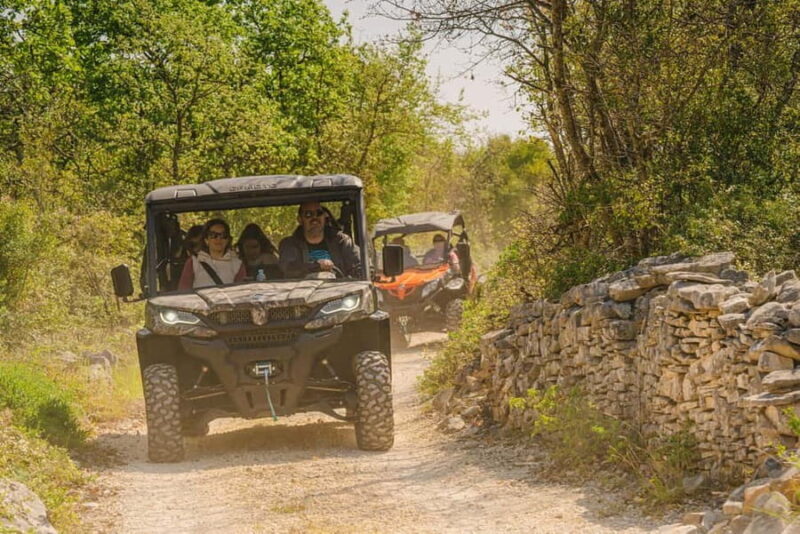 Faana/Pula: Guided 2-Hour Istrian Escape Buggy Tour - Key Points
