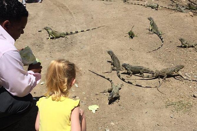 Fabulous Dutch and French Tour - Practical Details: What to Expect