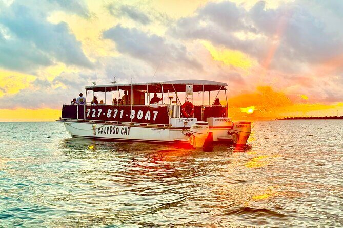 Fabulous Florida Sunset Tour Including Dolphins - A Scenic Sunset Cruise with Dolphins in St. Petersburg