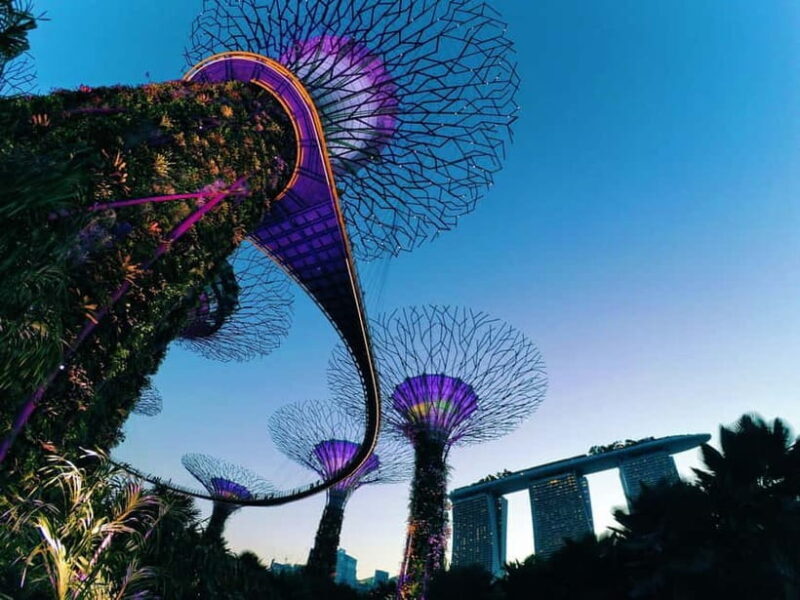 Fabulous Night-out Private Tour in Singapore - Key Points