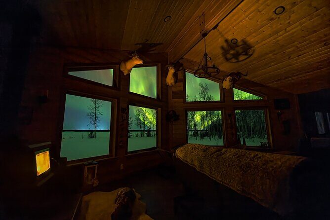 Face The Outdoors Private Group Northern Lights Tour - Face The Outdoors Private Group Northern Lights Tour: A Personal Arctic Adventure