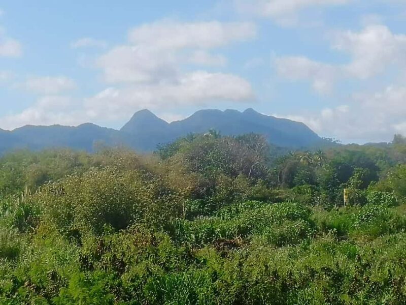 Faces Of St.Lucia. Unique Features of My Awesome Home. - Key Points